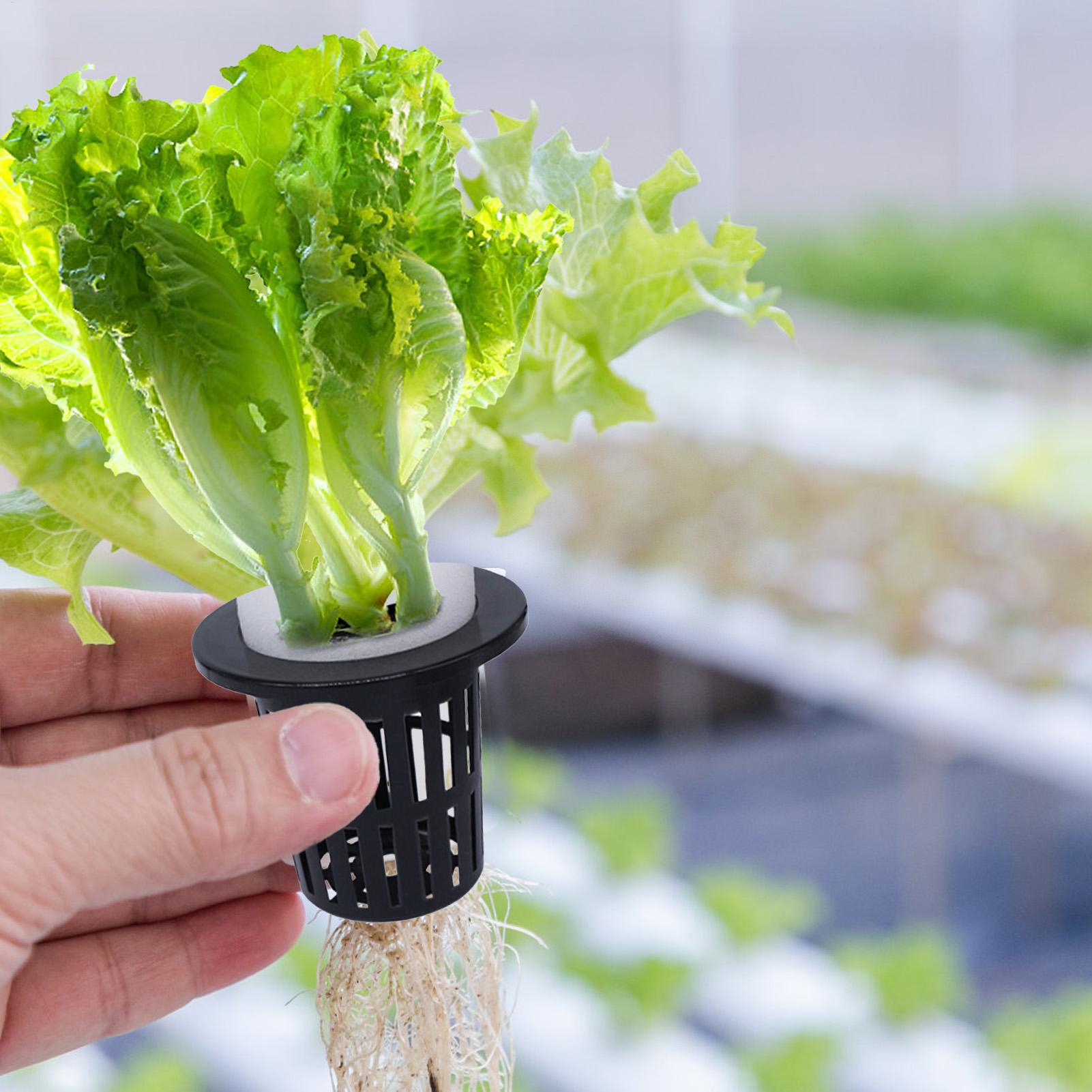 Net Pots For Hydroponics Hydro - Urban Farming Hydroponics recensie en prijs
