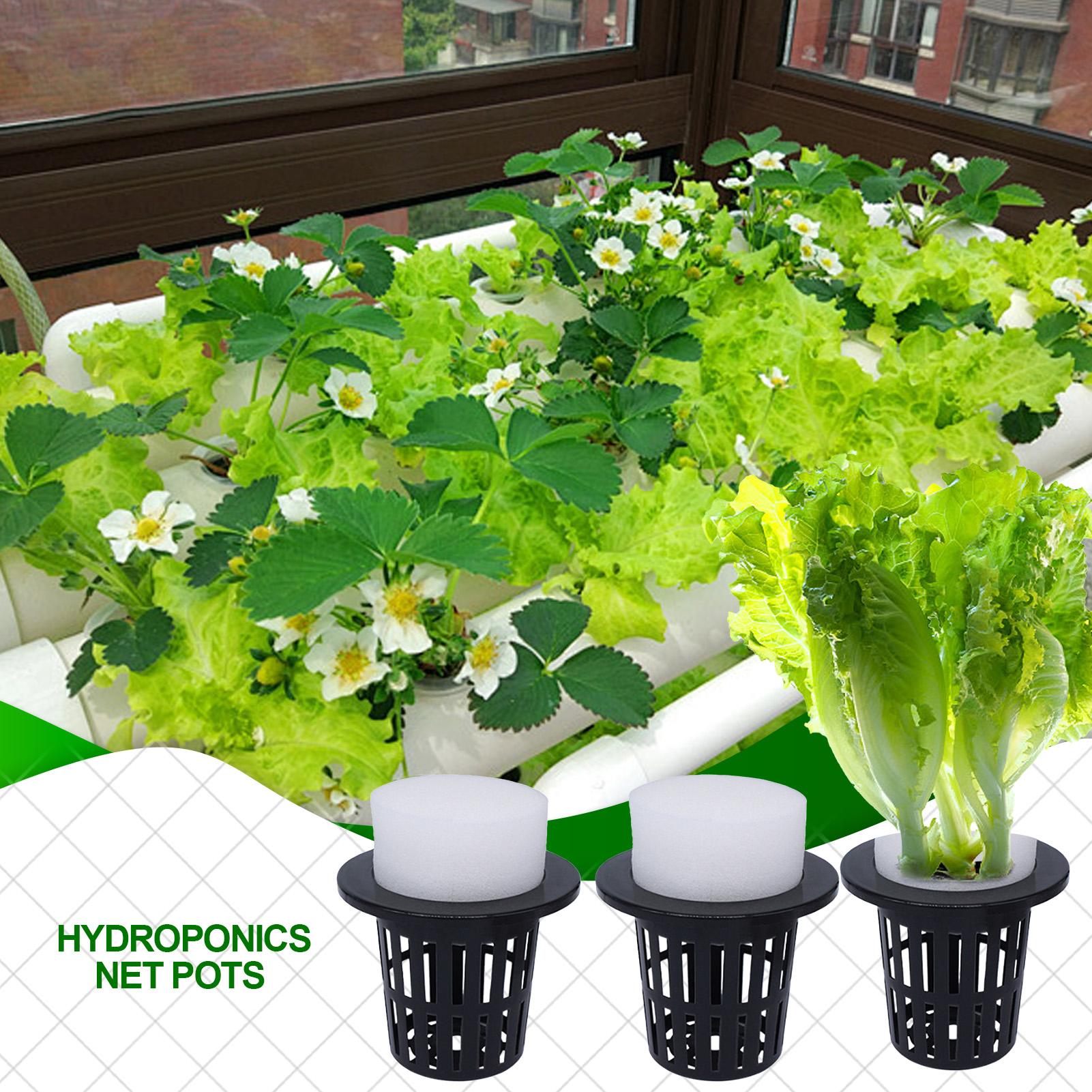 Net Pots For Hydroponics Hydro - Urban Farming Hydroponics recensie en prijs
